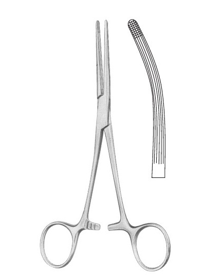 <span>Rochester-Carmalt</span>