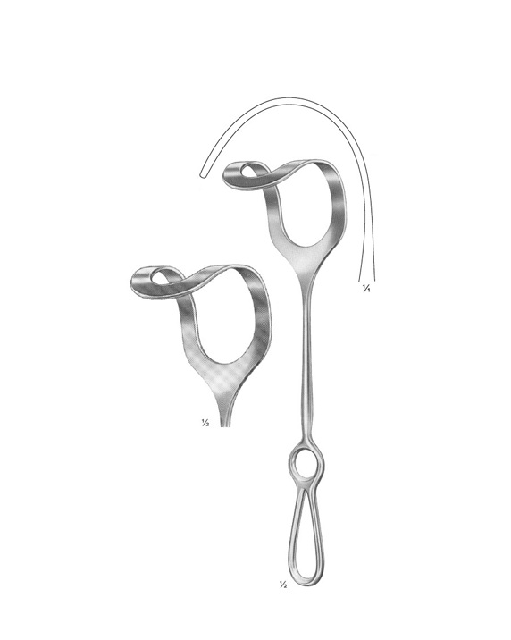<span>Middeldorpf</span>