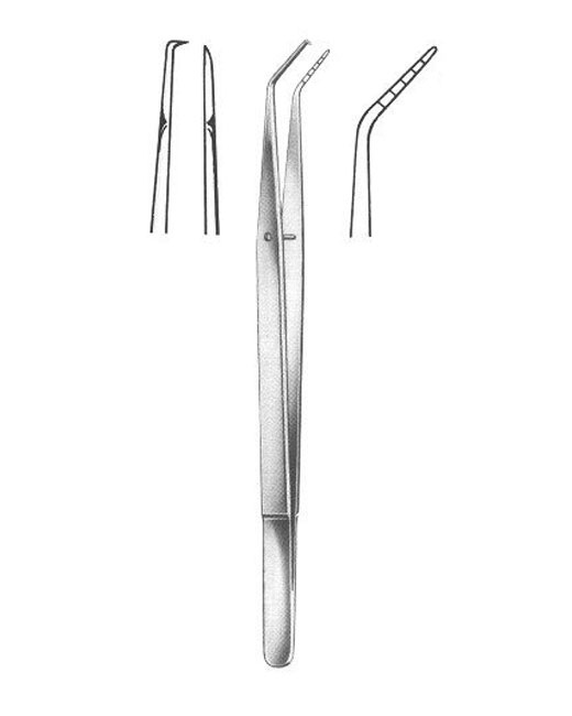 <span>Dental Tweezers</span>