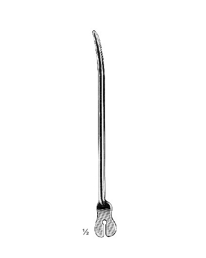 <span>Doyen</span>