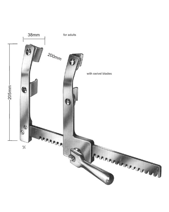 <span>Favaaloro-Morse</span>