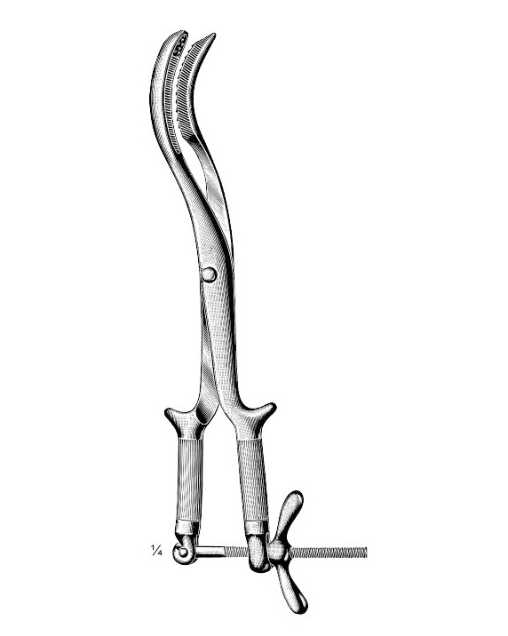 <span>Braun</span>