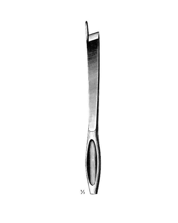 <span>Brunetti</span>