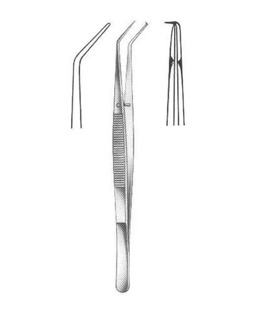 <span> Dental Tweezers</span>
