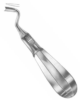 <span>Ott</span>