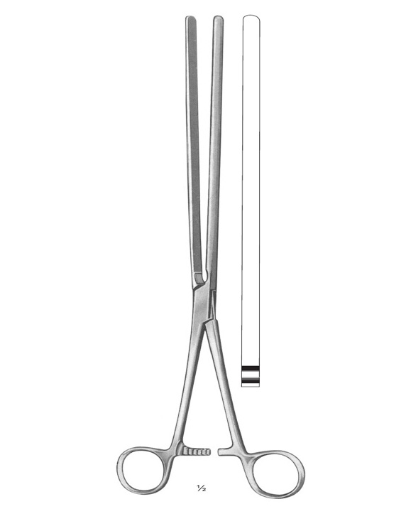 <span>Scudder</span>