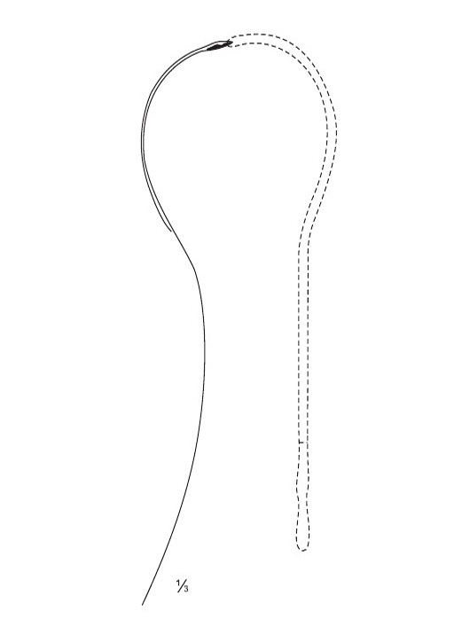 <span>Filiform</span>