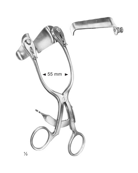 <span>Cloward</span>
