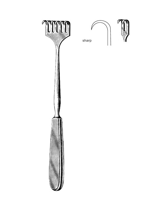 <span>Volkmann</span>