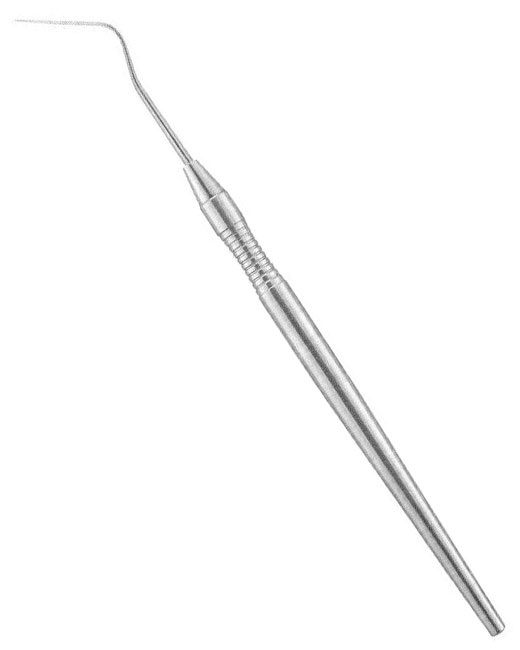 <span>Rein </span>