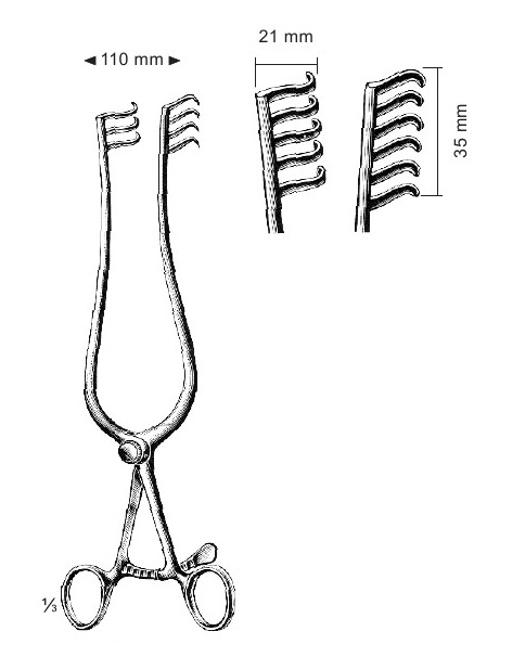 <span>Weitlaner</span>