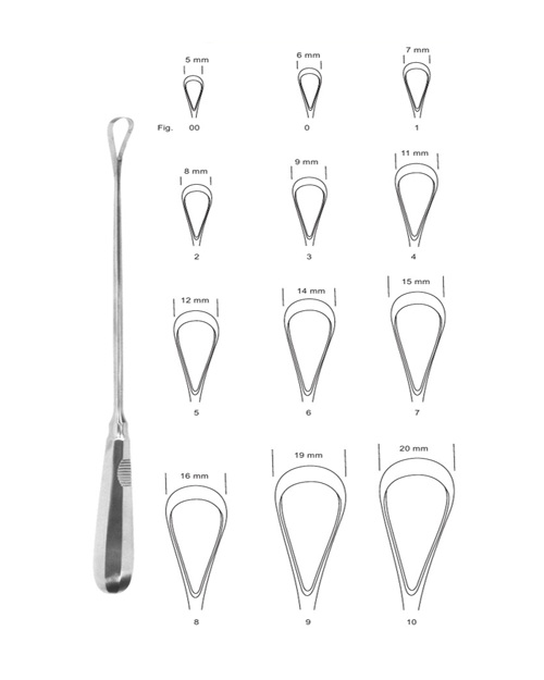 <span>Recamier</span>