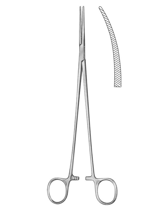 <span>Bengolea</span>