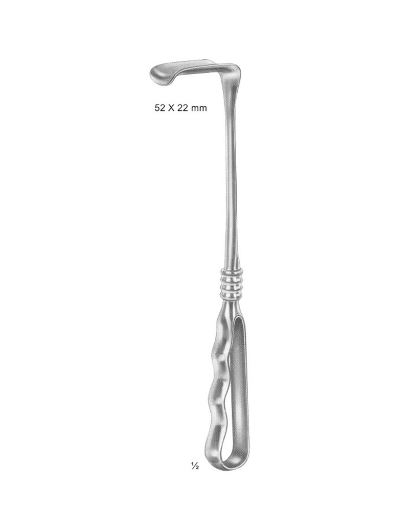 <span>Richardson</span>