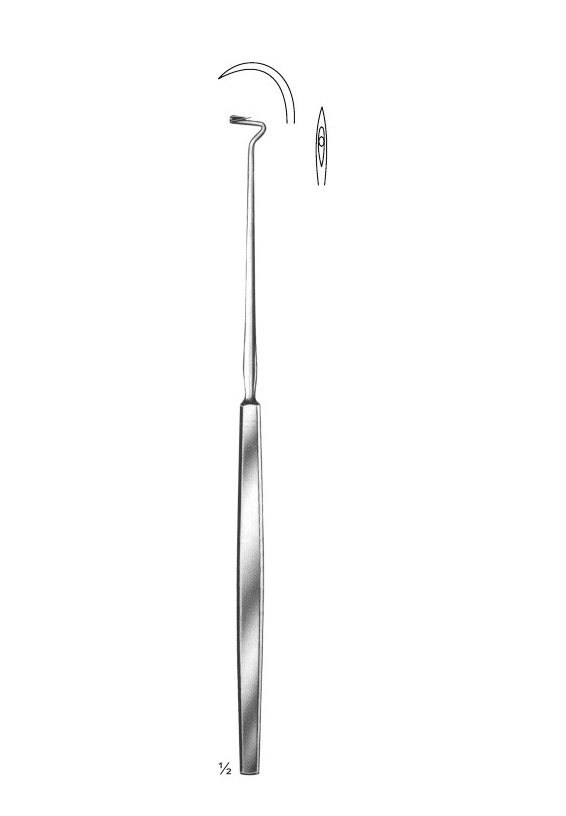 <span>Dupuy-Weiss</span>