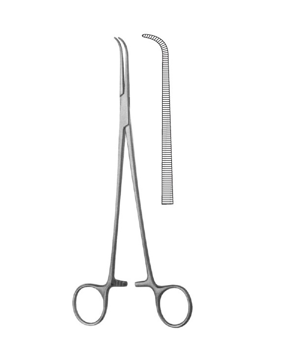 <span>Gemini-Mini (Mixter)</span>