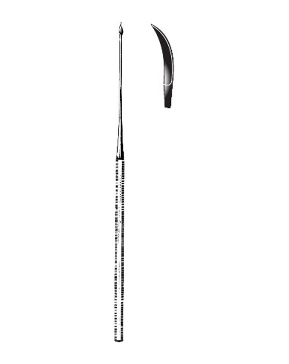 <span>Buck</span>