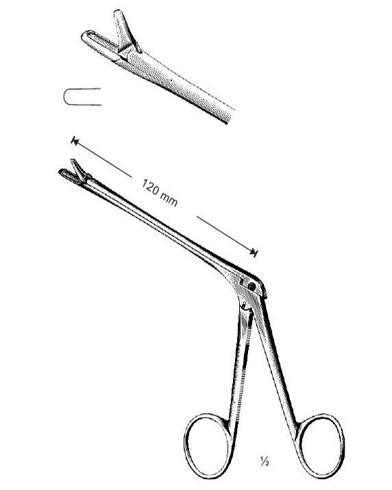 <span>Myles</span>