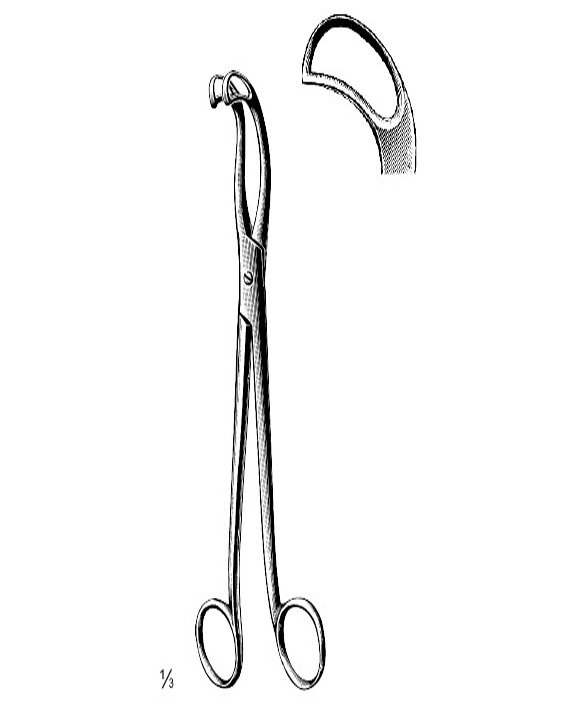 <span>Jurasz </span>