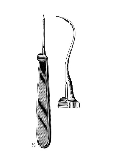 <span>Reverdin</span>