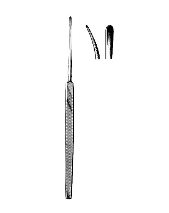 <span>Lempert</span>