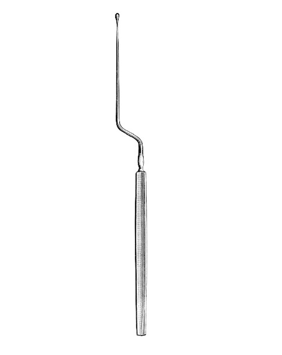 <span>Lucae</span>