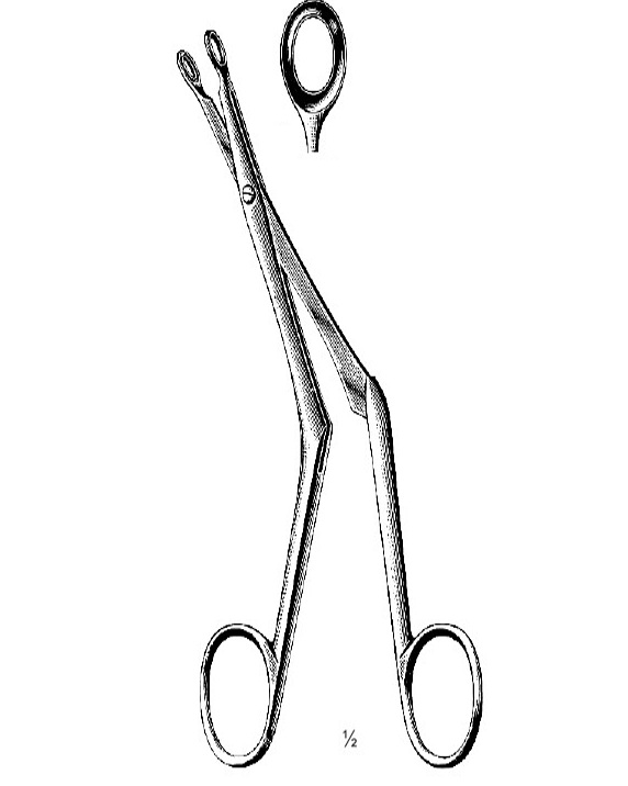 <span>Bruenings</span>
