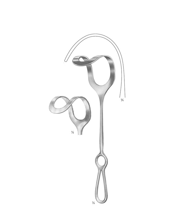 <span>Middeldorpf</span>