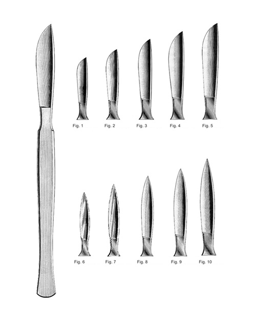 <span>Dissecting & Autopsy Knives</span>