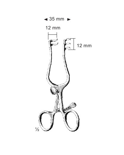 <span>Weitlaner</span>