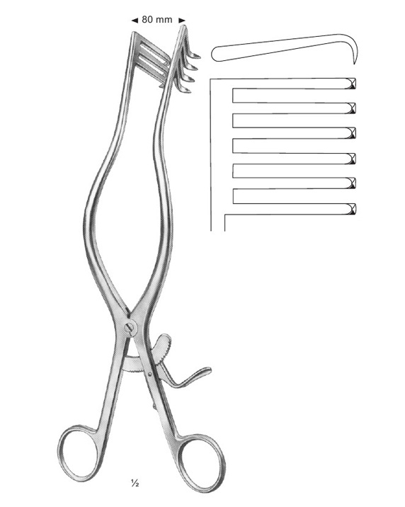 <span>Adson</span>