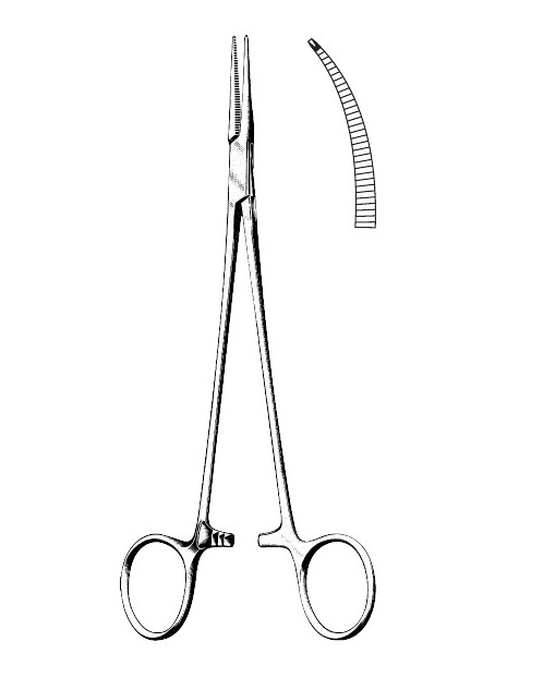 <span>Halsted-Mosquito</span>