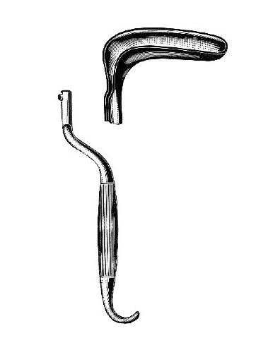 <span>Bozemann</span>
