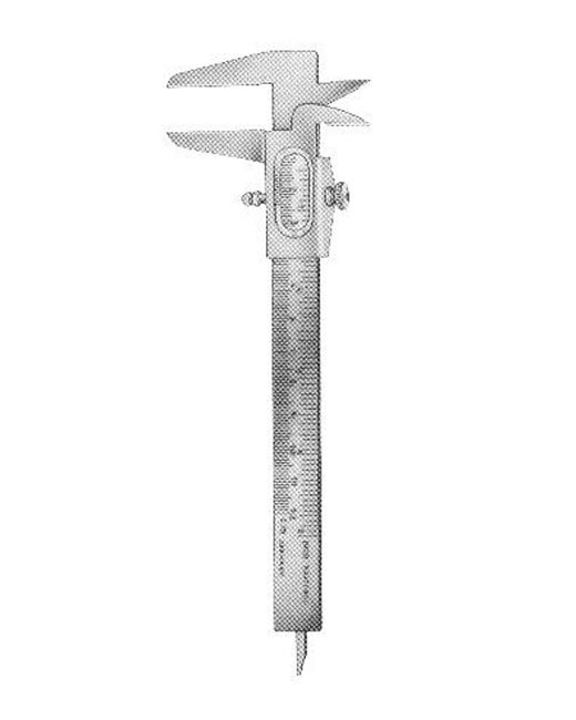 <span>Vernier</span>