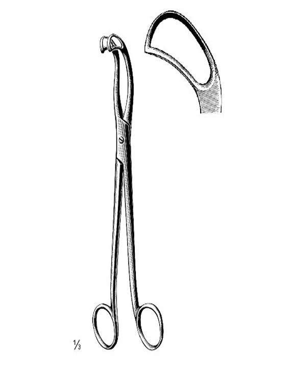 <span>Jurasz </span>