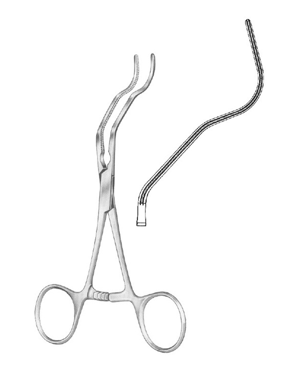 <span>Gregory</span>