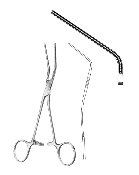<span>Blood Vessel Forceps </span>
