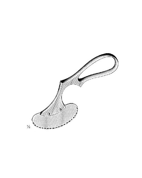 <span>Engel</span>