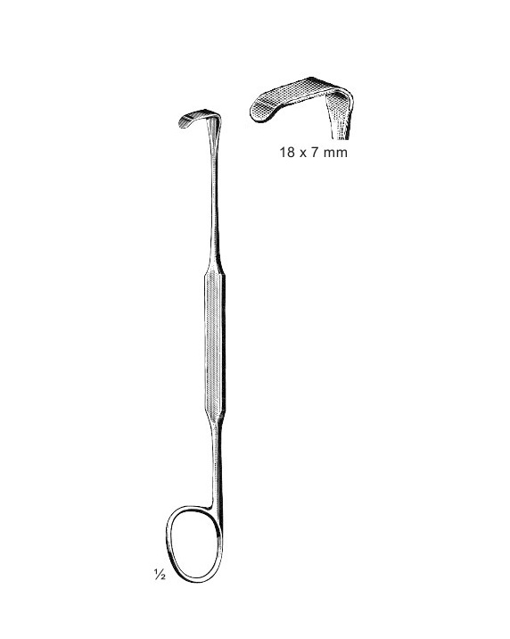 <span>Meyerding</span>