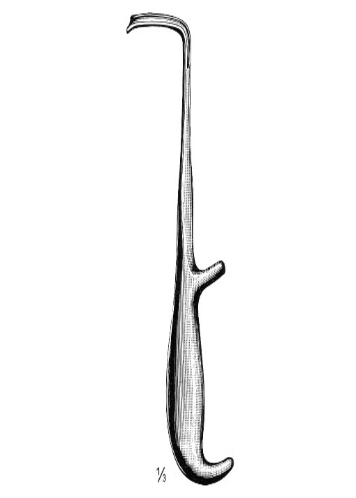 <span>Young</span>