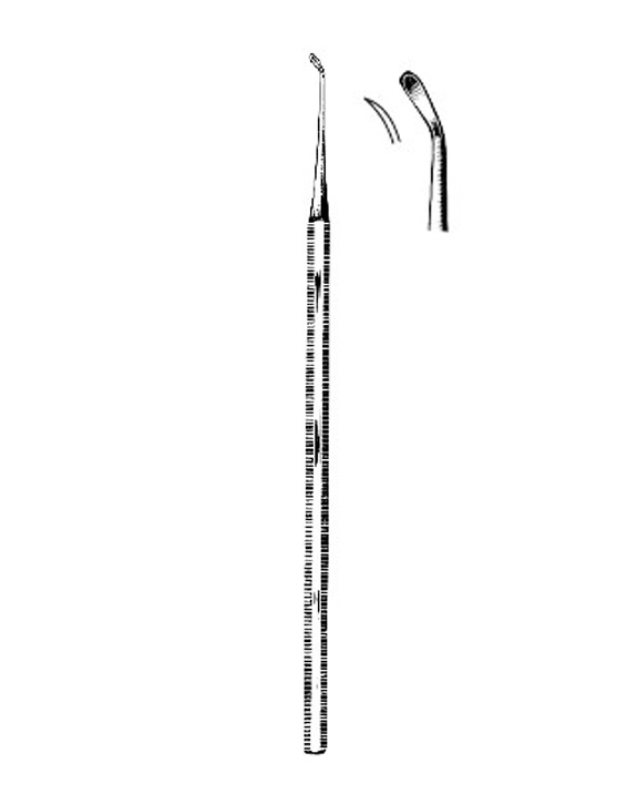 <span>Lempert</span>