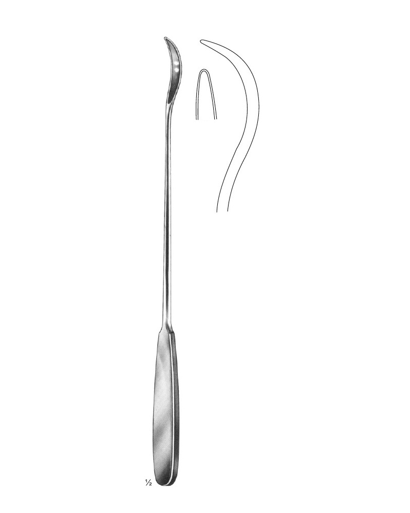 <span>Brunner</span>