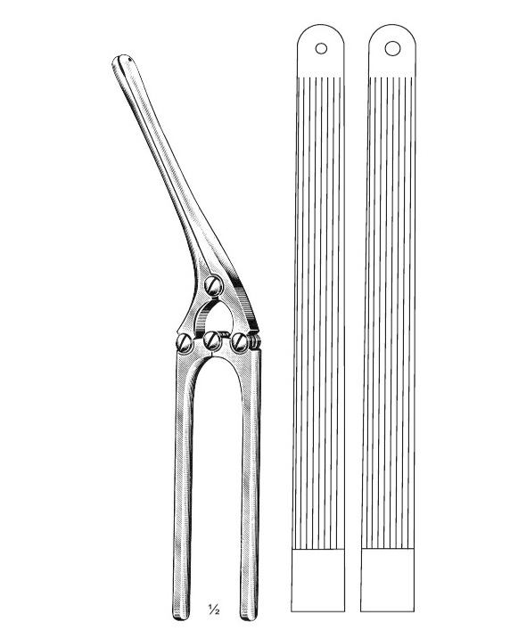 <span>Payr</span>