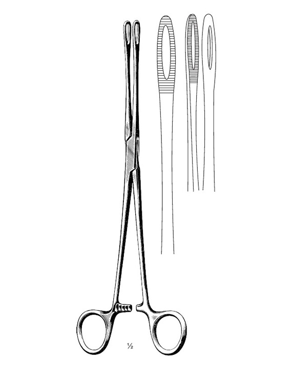 <span>Foerster</span>