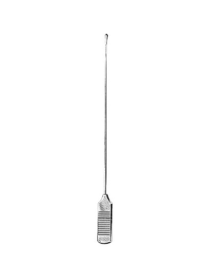 <span>Probes</span>