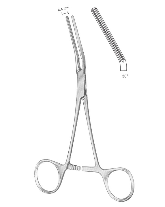 <span>Dardik</span>