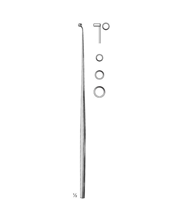 <span>Ray</span>