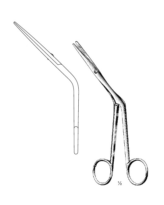 <span>Heymann</span>