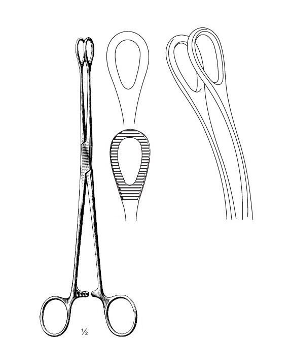 <span>Foerster</span>