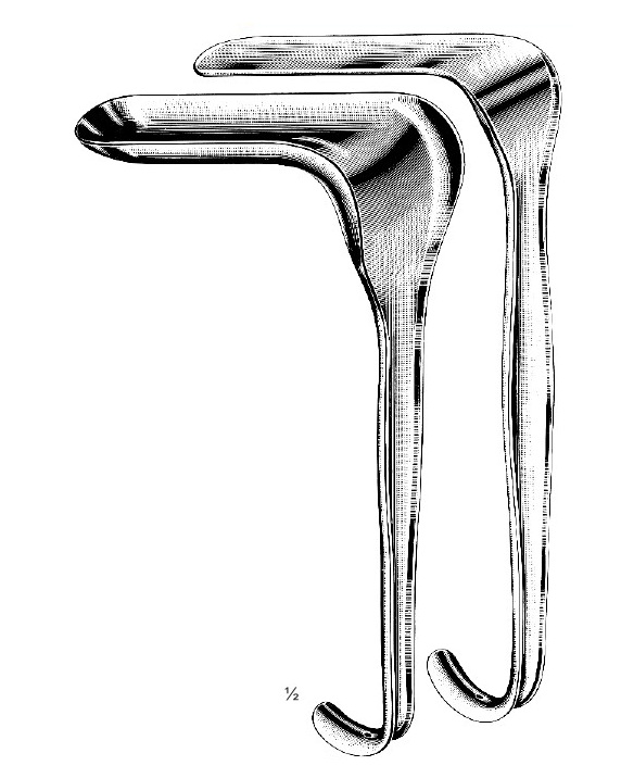 <span>Kallmorgen</span>